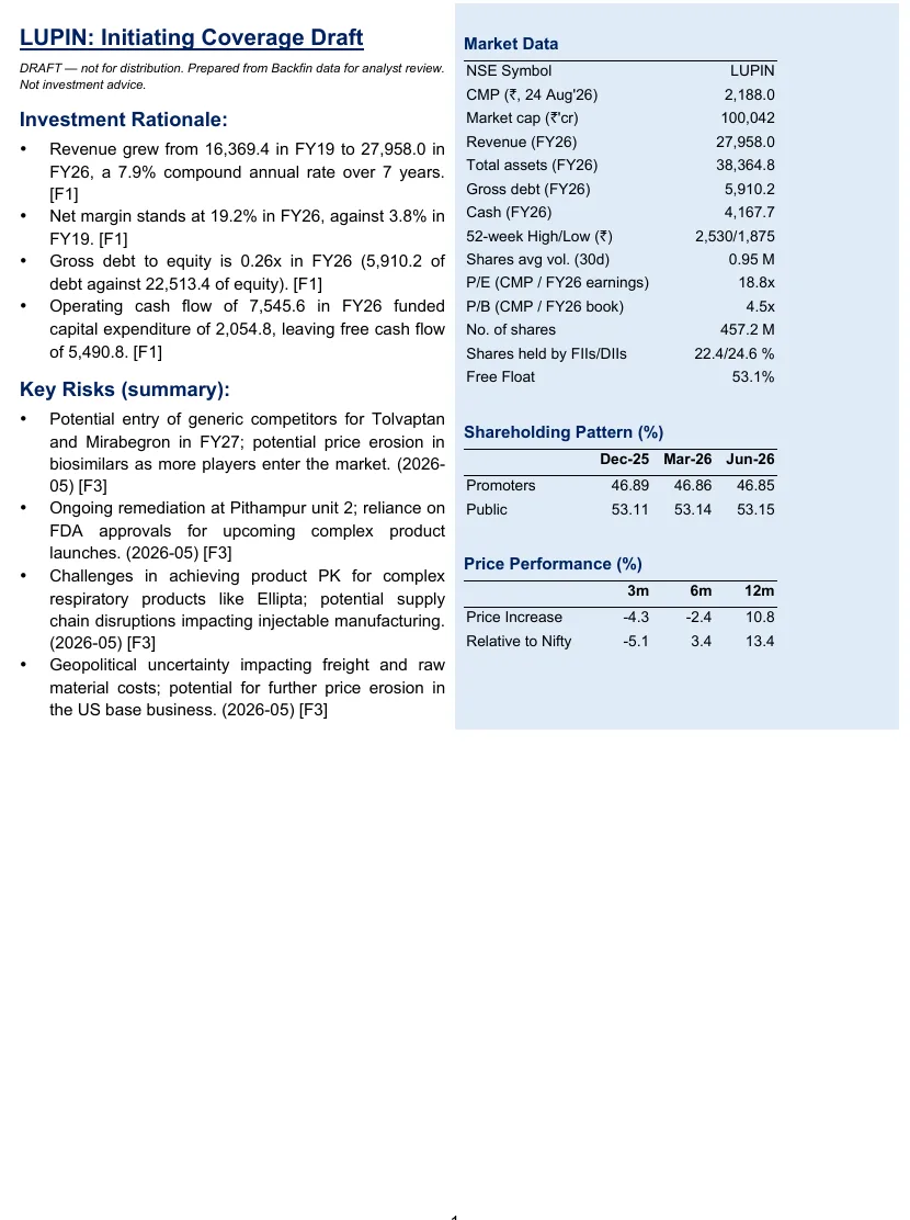 Page 1 of the generated Lupin report
